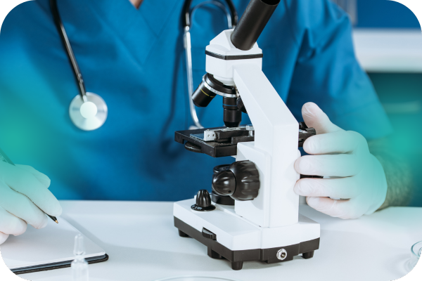 servicios veterinarios laboratorio