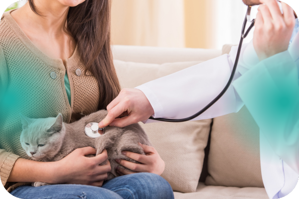 servicios veterinarios visitas a domicilio