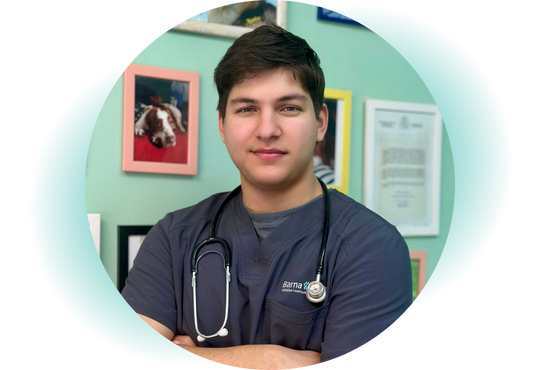 equipo veterinario BarnaVets gabriel salcedo
