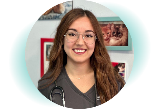 equipo veterinario BarnaVets mirella sánchez